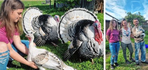 Familie Kohoutek und ihr Tierschutzverein „Federn & Pfoten“ suchen nach einer Eigenbedarfskündigung ein neues Zuhause. Foto Blum
