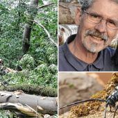 Spürnasen auf Sondermission