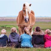 Ist Reiten für Kinder gefährlich?