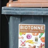 Stadt informiert zu Europawahl und Biotonne
