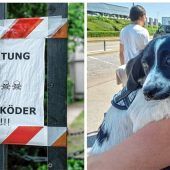Giftköderalarm in der Vagener Au