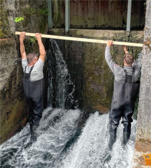 Selbst vor kühlem Nass schrecken die Zimmerer nicht zurück: Für die Fachleute der Zimmerei Stocker, hier am Siggenhamer Wehr, kein Problem. Foto Markus Stocker