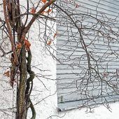 Mit hohen Bußgeldern gegen leerstehende Wohnungen