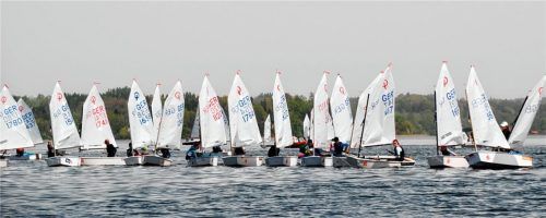 Über 100 Optis segelten beim Optikrokodil am Chiemsee.