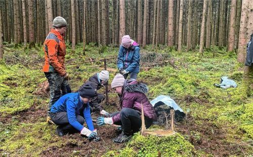 Viel Spaß beim Buchenpflanzen hatten (von links) Maja, Kati, Jessica und Mia sowie Forst-Azubi Korbinian.Foto Kirchner