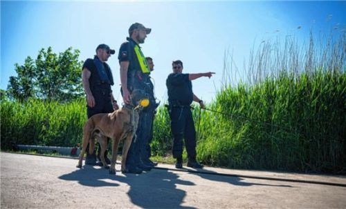 Wird ein Kind vermisst, werden schnellst möglichst alle Hebel in Bewegung gesetzt. So wie bei dem sechsjährigen Arian aus Bremervörde, der nach wie vor als vermisst gilt. Foto /dpa