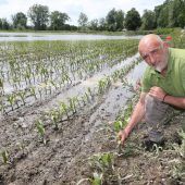 Landwirte bangen um ihre Ernte