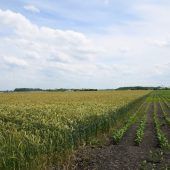 Schwierige Standortsuche