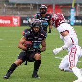 Ravens brennen Feuerwerk ab!