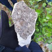 Schottersteine und Äste bremsen die S-Bahn aus