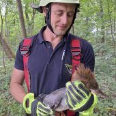 Feuerwehr rettet Vogel