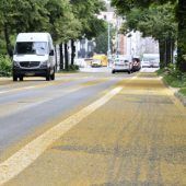 Pollenflug: Straßen komplett vergilbt