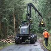 Waldrettung unter Zeitdruck