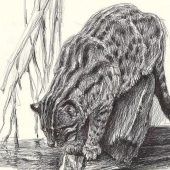 Zeichenkurse in Hellabrunn