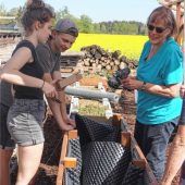 Wie baut man ein Hochbeet?