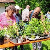 Weitergeben anstatt wegwerfen