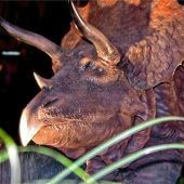 Dinosaurierland macht Halt in Rosenheim