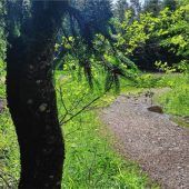 Kurvige Natureindrücke