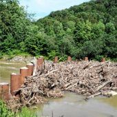 Der Wildholzrechen in der Leitzach ist gut gefüllt