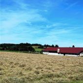 Heuernte hat begonnen