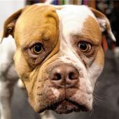 Hilfe kommt in letzter Sekunde