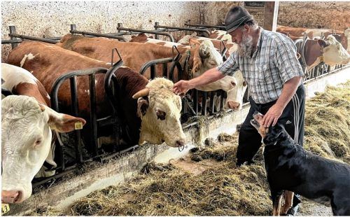 Bauer Wast B. (Name von der Redaktion geändert) wirft das Handtuch. Seit 16 Jahren bewirtschaftet er seinen Hof allein. Nun hat er keine Kraft mehr. Fotos Gerlach