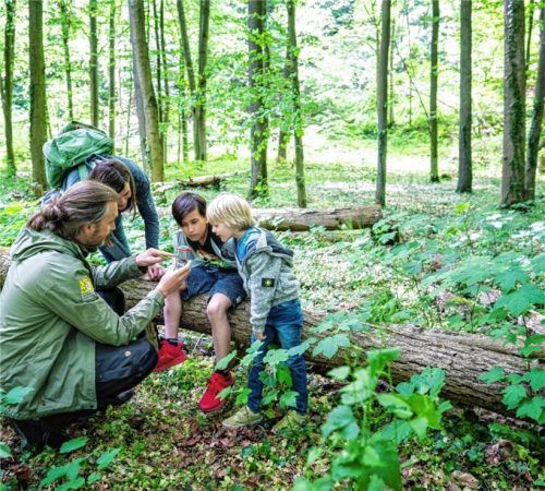 Das UNESCO-Kulturerbe mit einem Ranger unter die Lupe nehmen und viel lernen können Naturfreunde bei Naturführungen in Kelheim. Foto Tourismusverband Ostbayern/Herbert Stolz