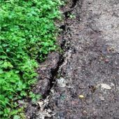 Wasserstand des Happinger Sees stark gefallen