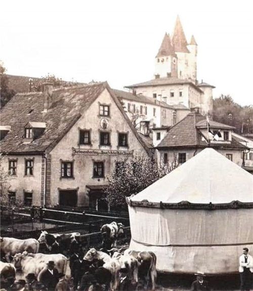 Der Viehmarkt am Bräuhausplatz gehörte früher zum Marktgeschehen. Szene aus dem Jahr 1908.Foto meindl