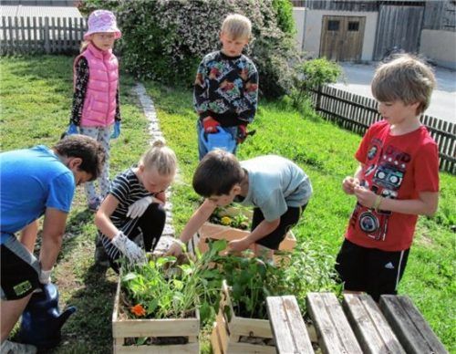 Einige Erstklässler beim Bepflanzen der Kistengärten. Foto Grundschule Söchtenau