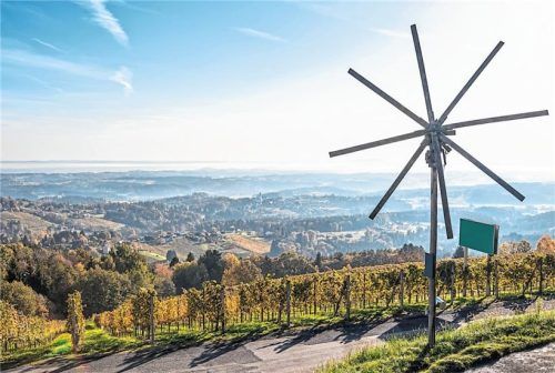 Entlang der Schilcherweinstraße genießt man Wein aus der Wildbacherrebe. Foto panthermedia_photoflorenzo