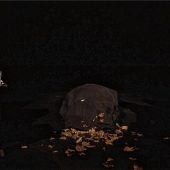 Spagat zwischen Drama und Komödie