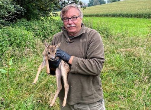 Hans Stockmann rettet ein kleines Kitz und bringt es in Sicherheit. Foto fuhrmann