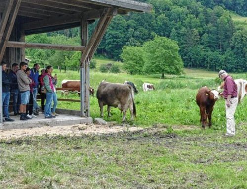 Referent Philipp Wenz erklärte den Seminarteilnehmern, wie man sich auf der Weide Kühen gegenüber verhalten sollte. Foto Schubert