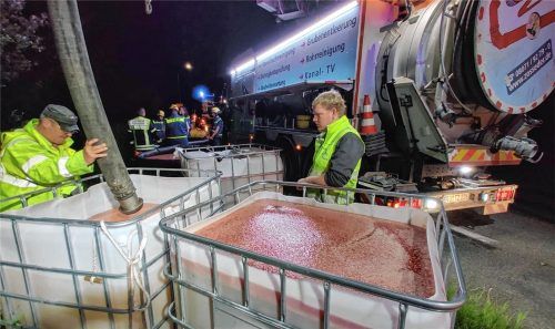 Sauber eingeschenkt: Mitarbeiter des Technischen Hilfswerks (THW) pumpen in der Nacht auf vergangenen Donnerstag in Pfraundorf mit Öl verschmutztes Wasser ab. Foto THW
