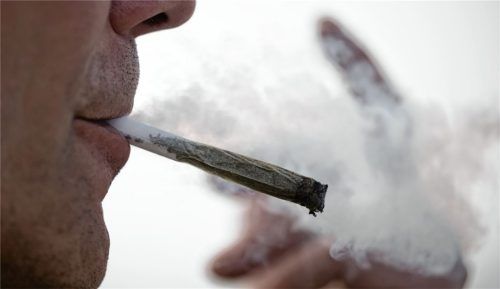 Seit dem 1. April sind der Besitz von bestimmten Mengen und der Konsum von Cannabis legal. Foto Sebastian Gollnow