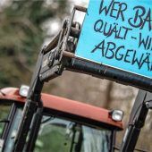 Einen Bärendienst erwiesen