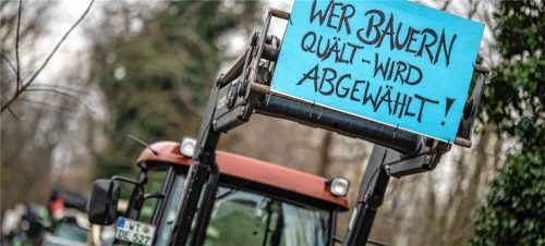 Zu Jahresbeginn demonstrierten zahlreiche Landwirte auch aus der Region gegen die aktuelle Bundesregierung. Die Protestwelle ist abgeebbt, die Diskussion um eine gerechte Agrarpolitik geht allerdings weiter. Foto dpa