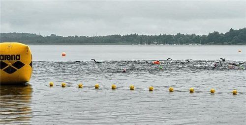 100 Teilnehmer haben beim zehnten Simssee-Langstreckenschwimmen um den Sieg gekämpft. Foto Zipprick