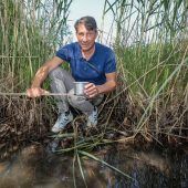 Mückenhölle Ammersee