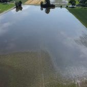 Bauern beklagen Schäden von bis zu 300 000 Euro pro Betrieb