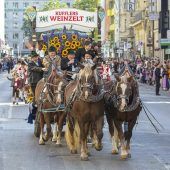 Keine Pferde mehr auf der Wiesn?