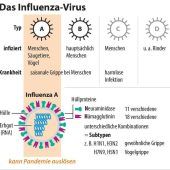 Wie gefährlich wird das neue Virus?