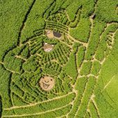 Verirrt mit Wickie und Halvar