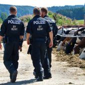 Ein Skandal mit ewigem Nachspiel