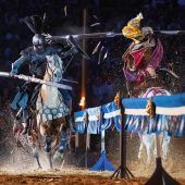 Die Rückkehr des Schwarzen Ritters