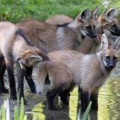Zoo zählt 2,5 Millionen Besucher