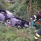 Wagen landet im dichten Gebüsch