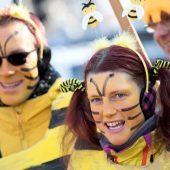 „Rettet die Bienen“: Nur Teilerfolge