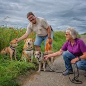 Die Retter der Straßenhunde